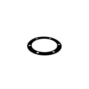 SHIM, SHAFT, 0.010"(BR)TRGBI/P