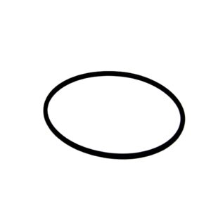 O-RING