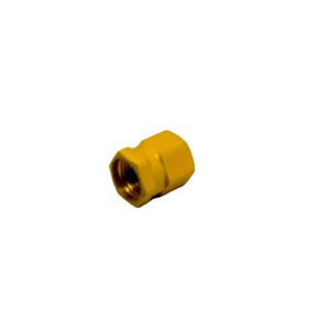 CAP, VALVE, PNEUMATIC