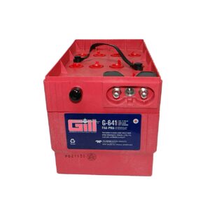 BATTERY:ACID/LEAD, 24V A/C