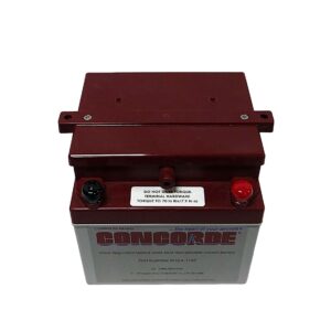 BATTERY:SEALED, 24V LEAD/ACID