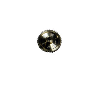 GEAR WORM